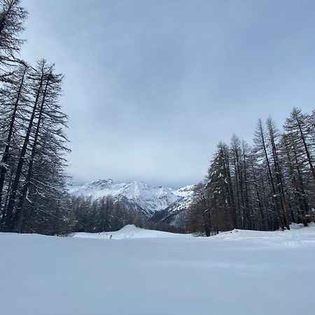 Les Granges D'Arvieux - Queyras - Appart 3Ch./6P. Exterior foto